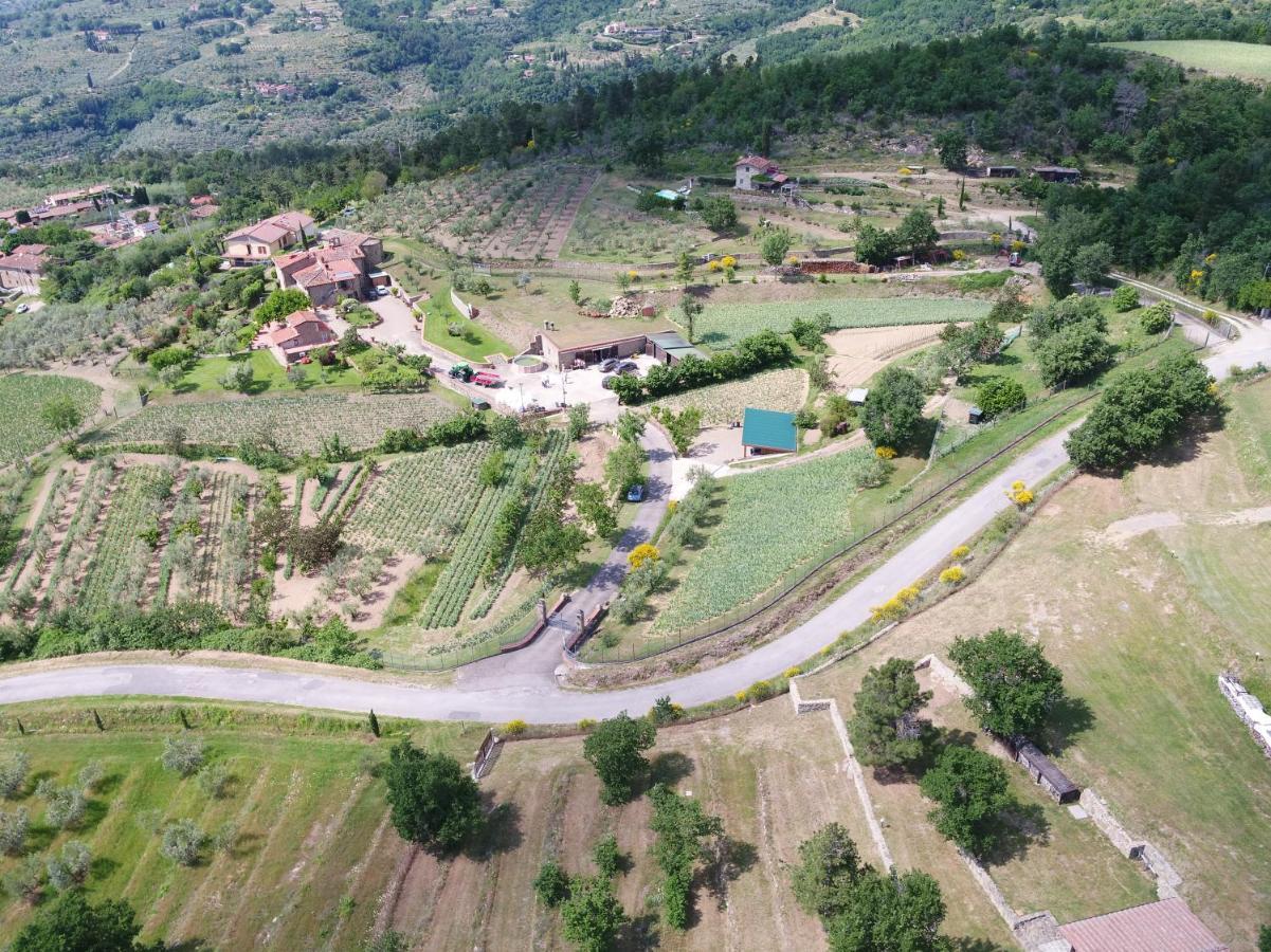 Agriturismo Villa Iris Castelfranco di Sopra Εξωτερικό φωτογραφία