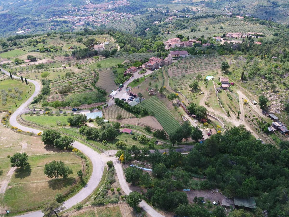 Agriturismo Villa Iris Castelfranco di Sopra Εξωτερικό φωτογραφία